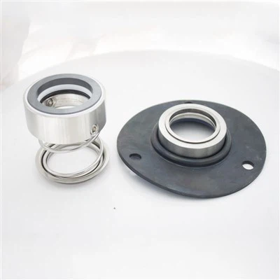 Sêl Fecanyddol Silicon Carbide